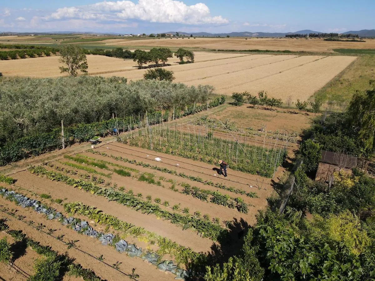 Bauernhof Locanda Le Mandriane Orbetello
