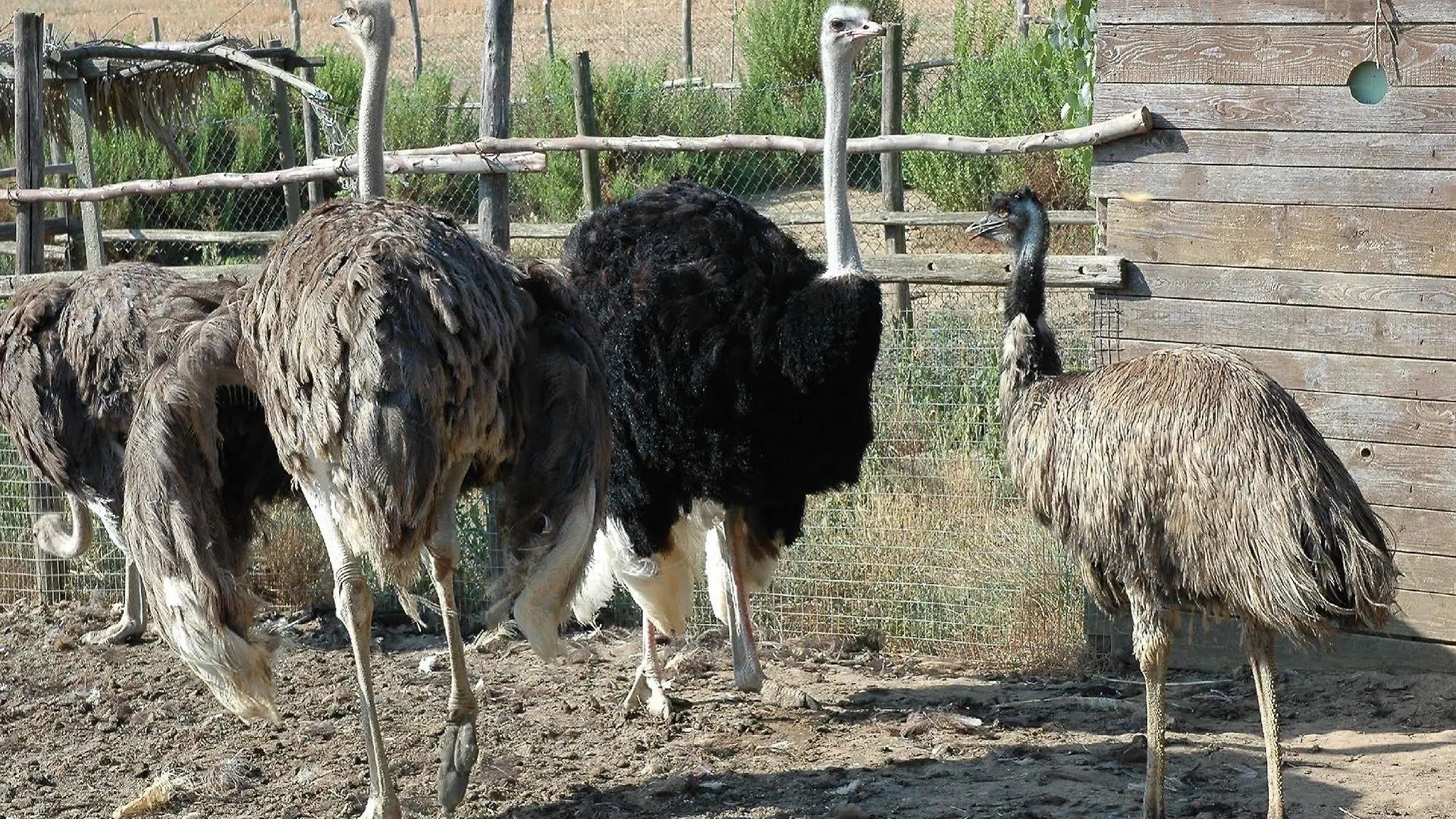 Locanda Le Mandriane Orbetello Bauernhof